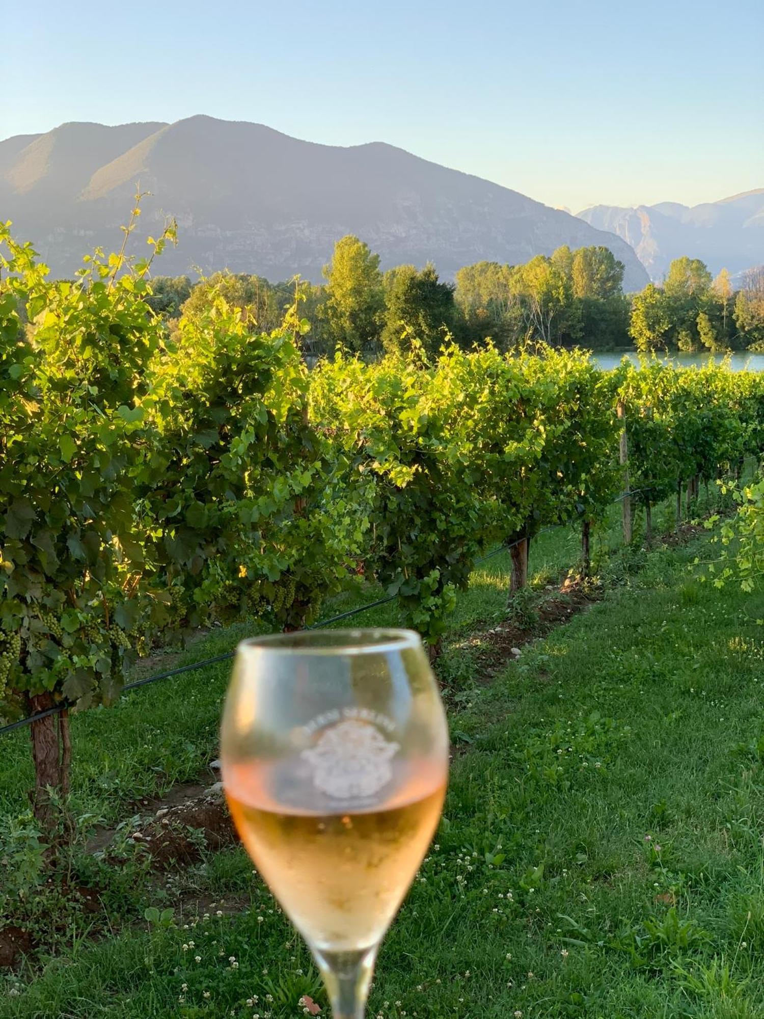 La Casa Di Saten - Appartamento In Franciacorta 에르부스코 외부 사진